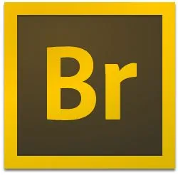 Adobe Bridge 2024 v14.0.2【Br2024】