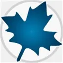 Maple 2024 简体中文破解版